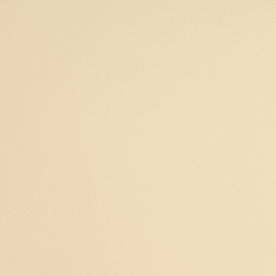 S5468B - Ivoire Brillant 2